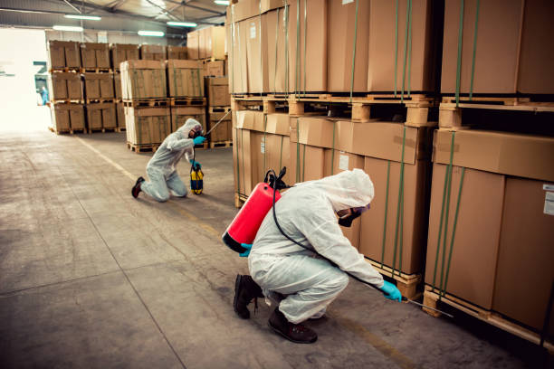 Best Ant Control Services  in Lynchburg, VA