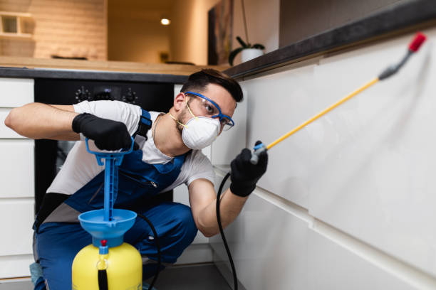 Professional Pest Control in Lynchburg, VA