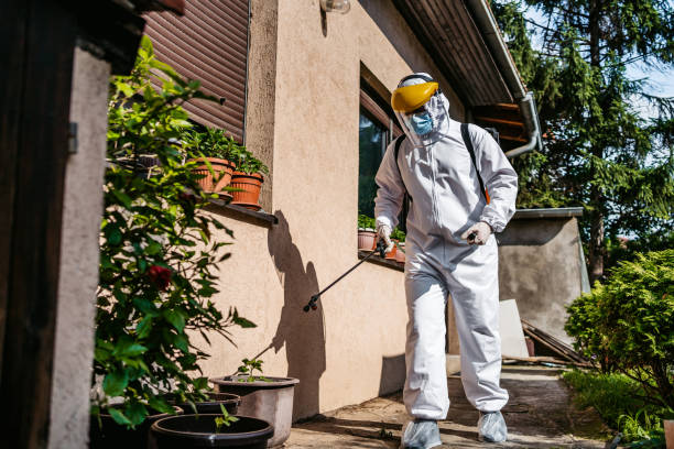 Flea Control Services in Lynchburg, VA