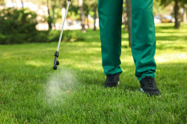 Best Affordable Pest Control Services  in Lynchburg, VA