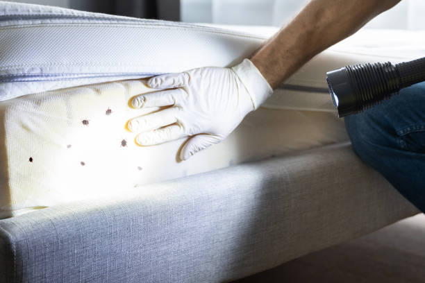Best Pest Inspection Near Me  in Lynchburg, VA