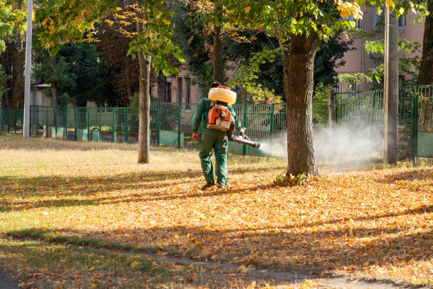 Best Bird Control  in Lynchburg, VA