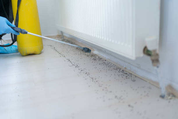 Best Affordable Exterminators  in Lynchburg, VA